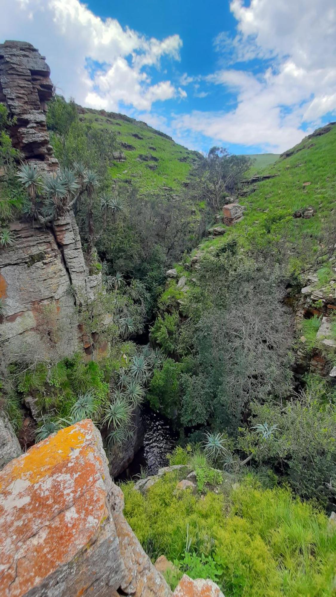 Hotel Schaefers' Halt Dullstroom Exterior foto